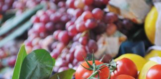 Organics, an attractive and eco-friendly business paraguay organic