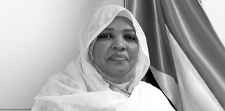 Sudan’s CIT sector open for investment