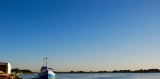 Paraguay: the logistical transformation of cargo transport Paraguay waterway river