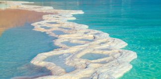 Green is the new black The Green Corridor Jordan