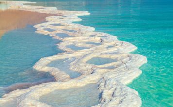 Green is the new black The Green Corridor Jordan