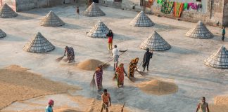 Agriculture: room to grow