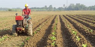 Developing sustainability in farming