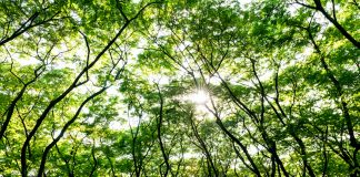 A leading business enhancing lives